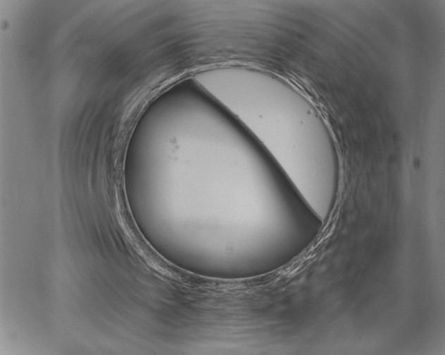 X0000064720097200602171626