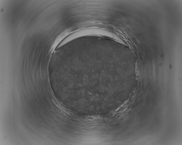 X0000064720099200602171626