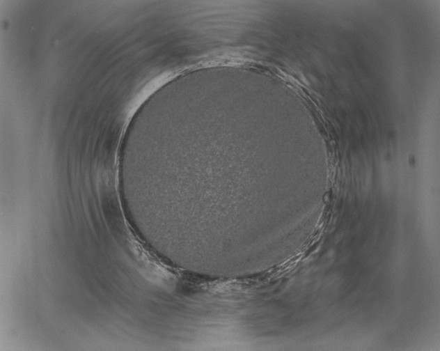 X0000064720100200602171626