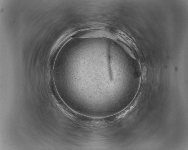 X0000064720101200602171626