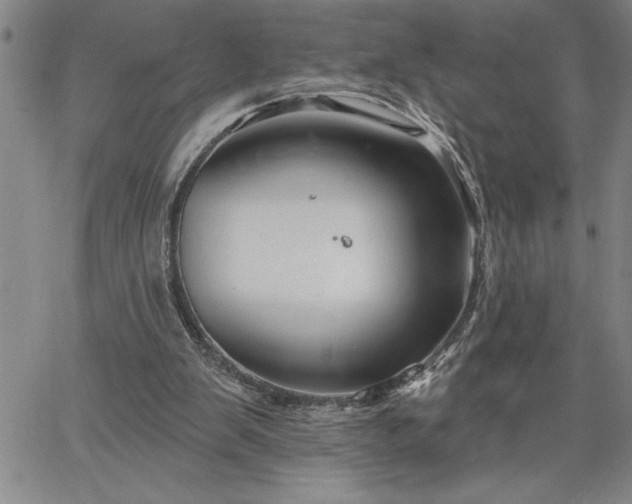 X0000064720103200602171626