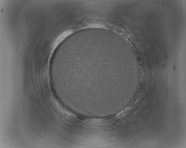 X0000064720104200602171626