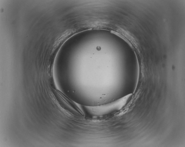 X0000064720105200602171626