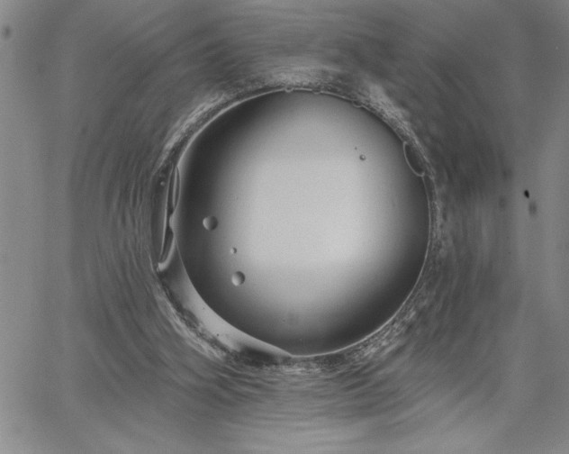 X0000064720106200602171626