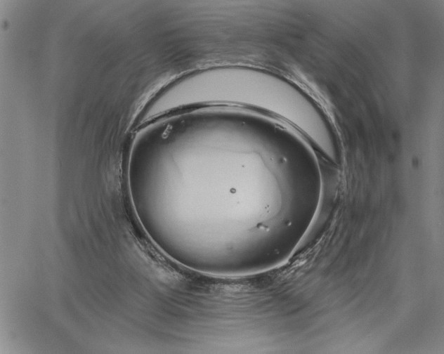 X0000064720107200602171626