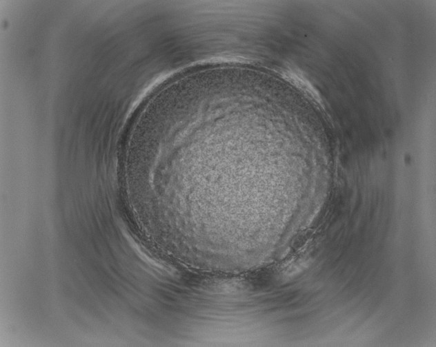 X0000064720108200602171626