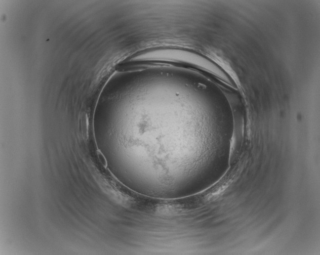 X0000064720109200602171626