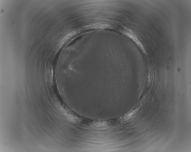 X0000064720110200602171626