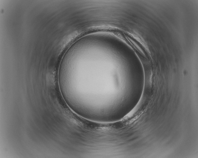 X0000064720111200602171626