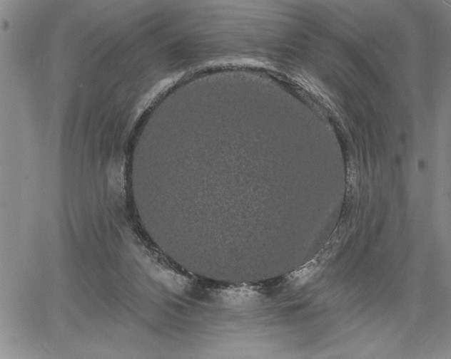 X0000064720112200602171626