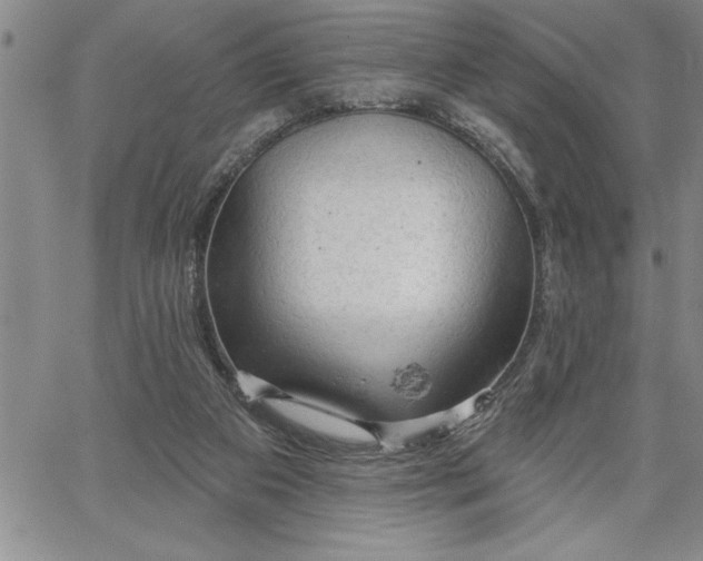 X0000064720113200602171626