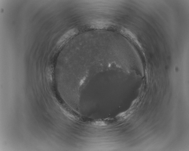 X0000064720114200602171626