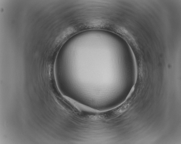 X0000064720115200602171626