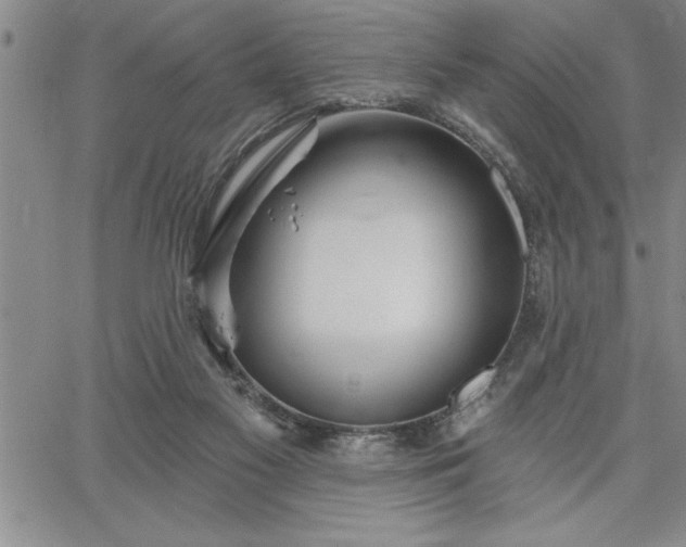 X0000064720117200602171626