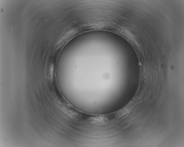 X0000064720118200602171626