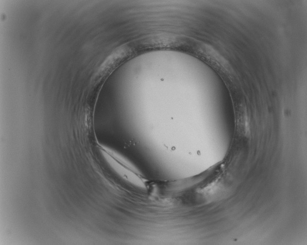 X0000064720119200602171626