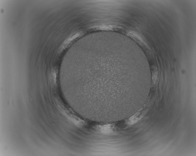 X0000064720120200602171626