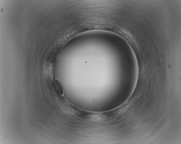 X0000064720121200602171626