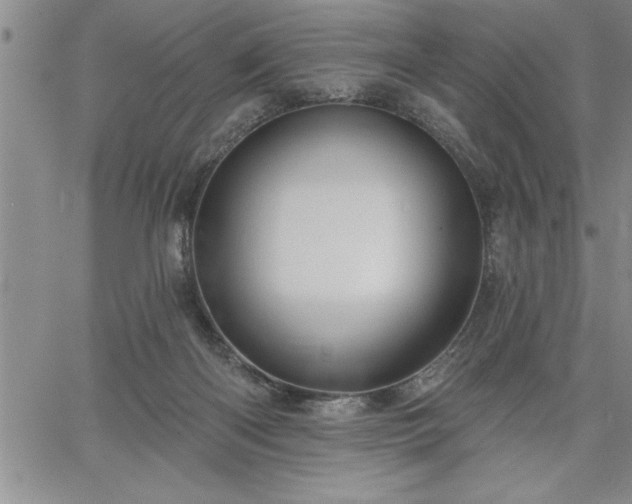 X0000064720122200602171626