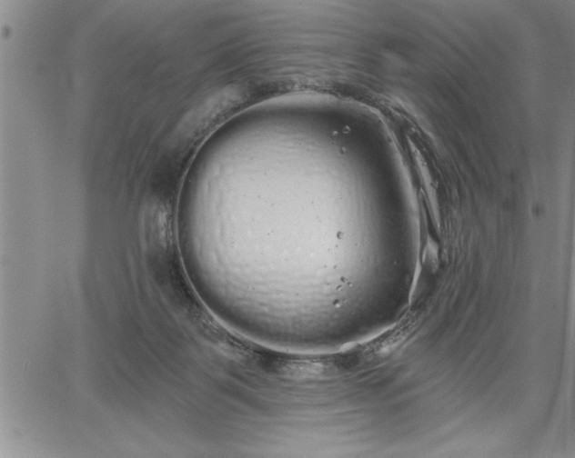 X0000064720123200602171626