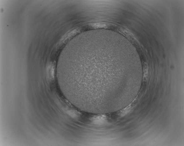 X0000064720124200602171626