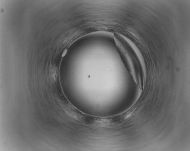 X0000064720125200602171626