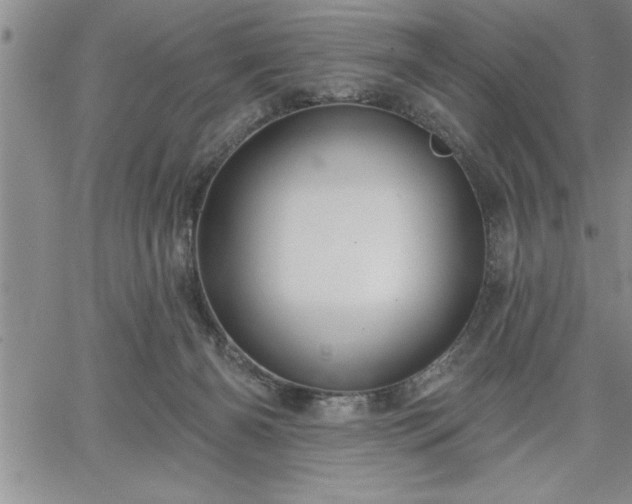 X0000064720126200602171626