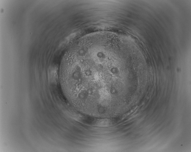 X0000064720127200602171626