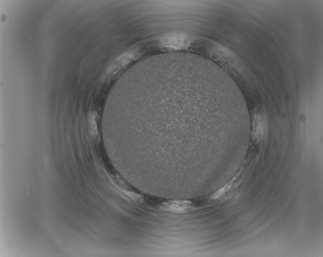 X0000064720128200602171626