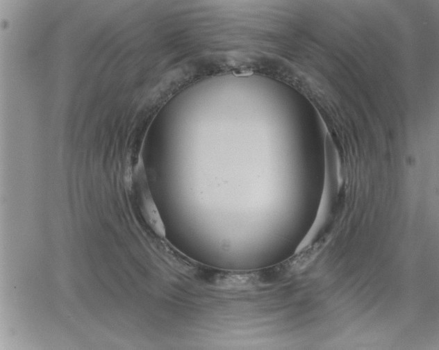 X0000064720129200602171626