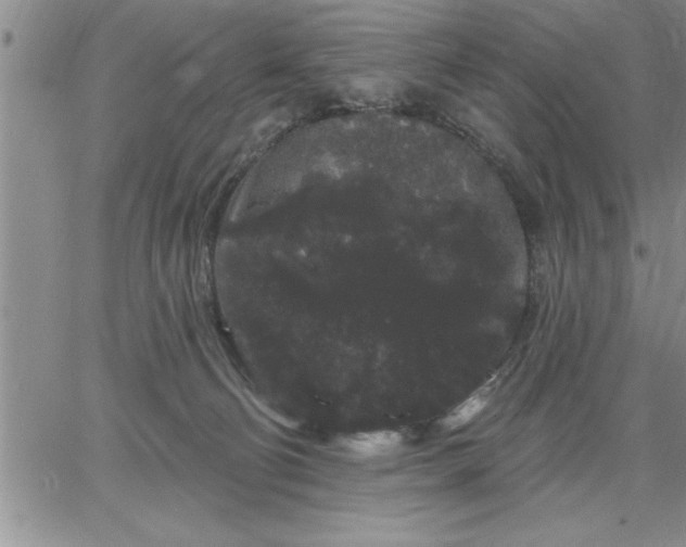 X0000064720130200602171626