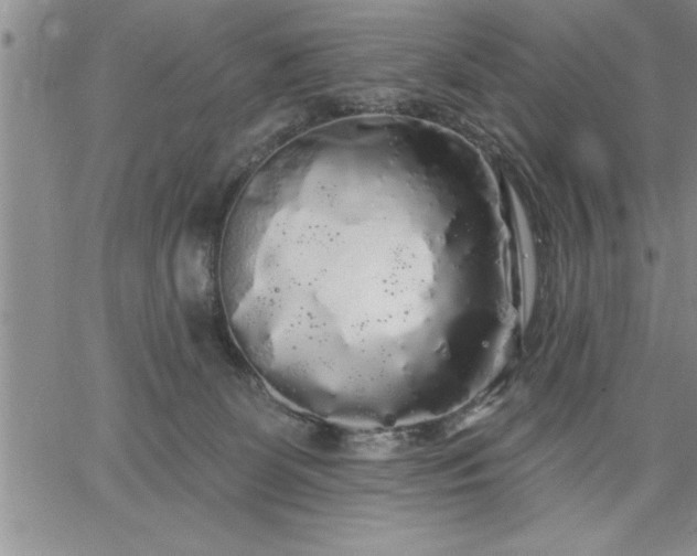 X0000064720131200602171626