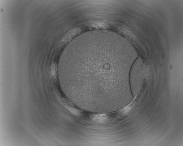 X0000064720132200602171626