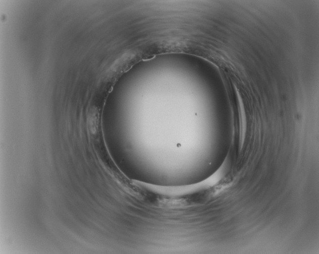 X0000064720133200602171626