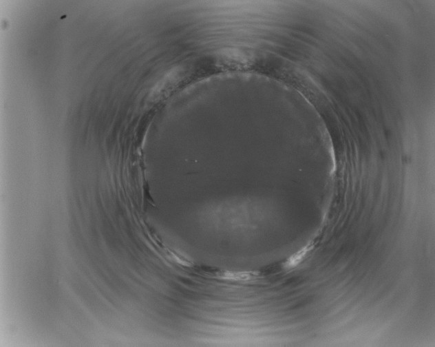 X0000064720134200602171626