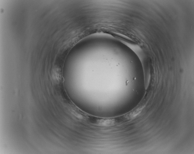 X0000064720135200602171626