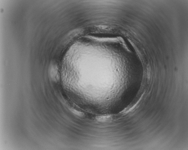 X0000064720136200602171626