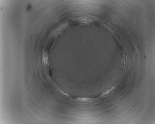 X0000064720137200602171626