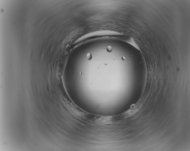 X0000064720138200602171626