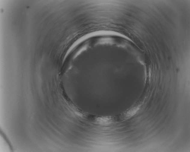 X0000064720139200602171626