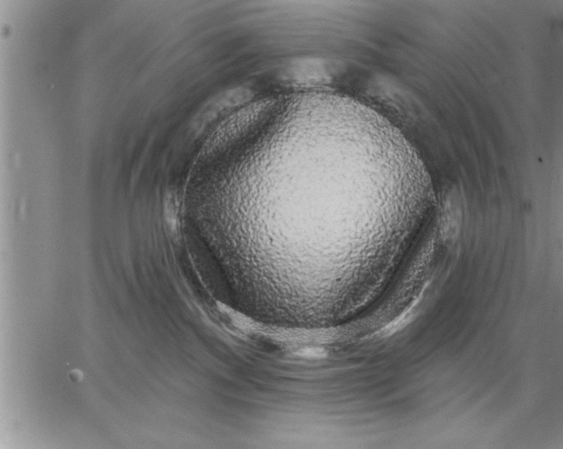 X0000064720140200602171625