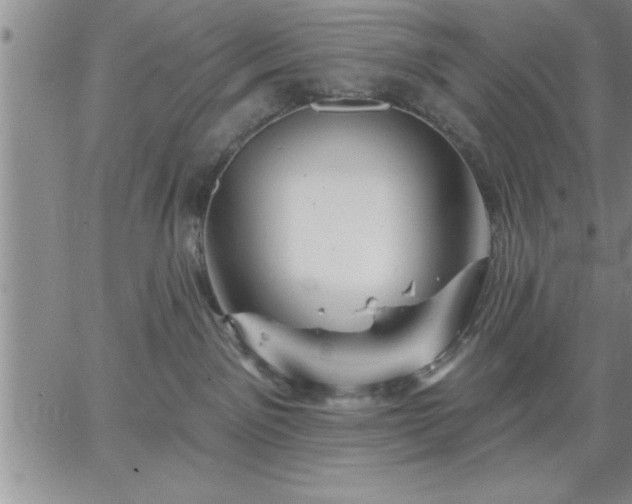 X0000064720141200602171625