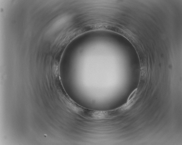 X0000064720142200602171625