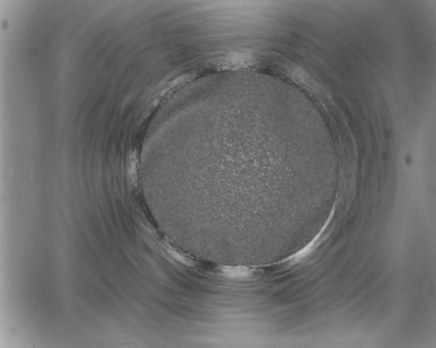 X0000064720144200602171625