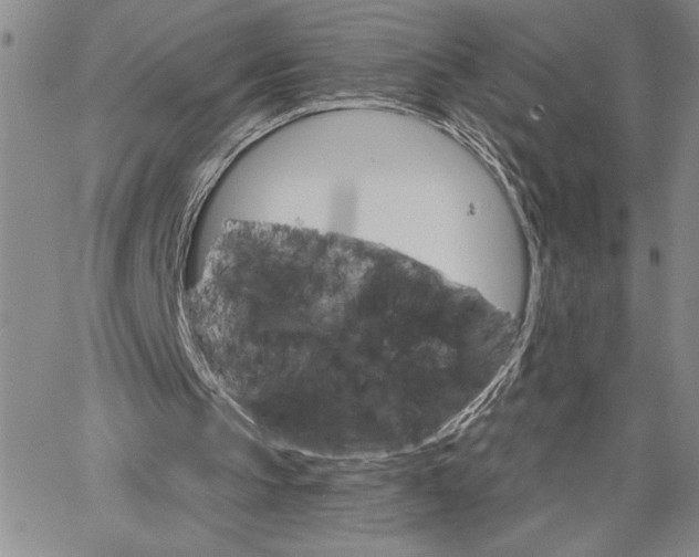 X0000064720145200602171625