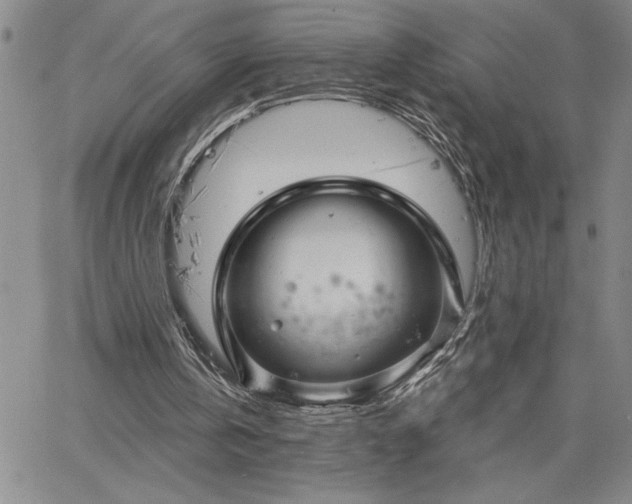 X0000064720146200602171625