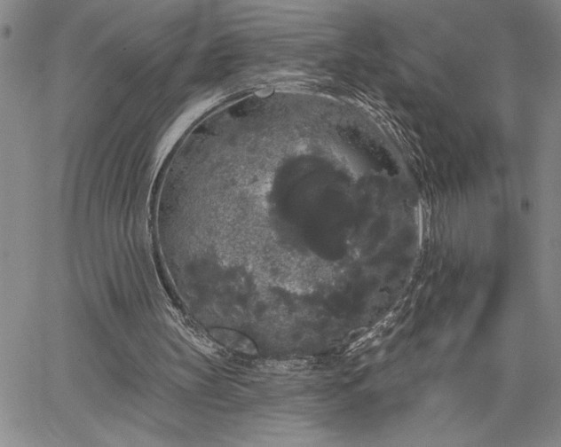 X0000064720147200602171625