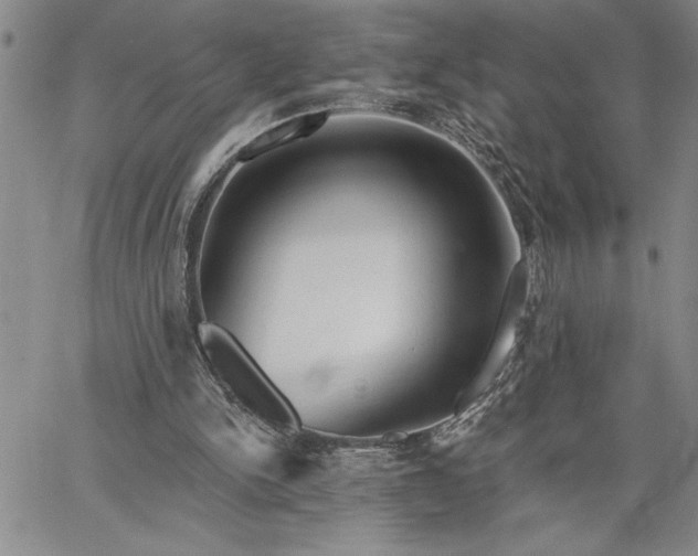 X0000064720150200602171625