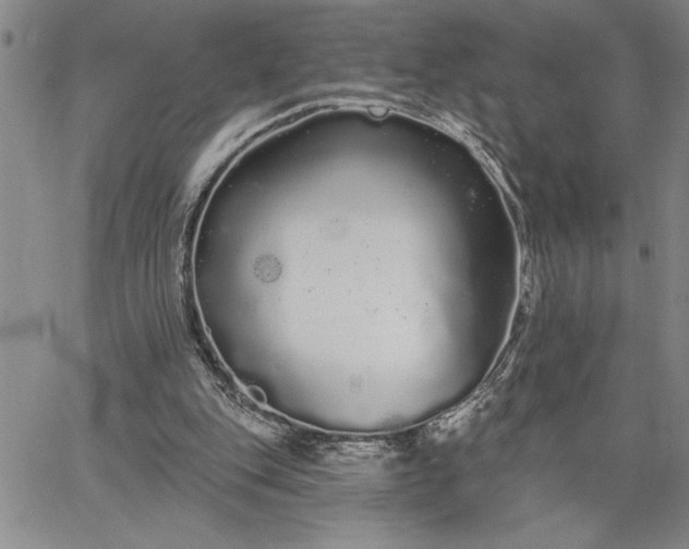 X0000064720151200602171625