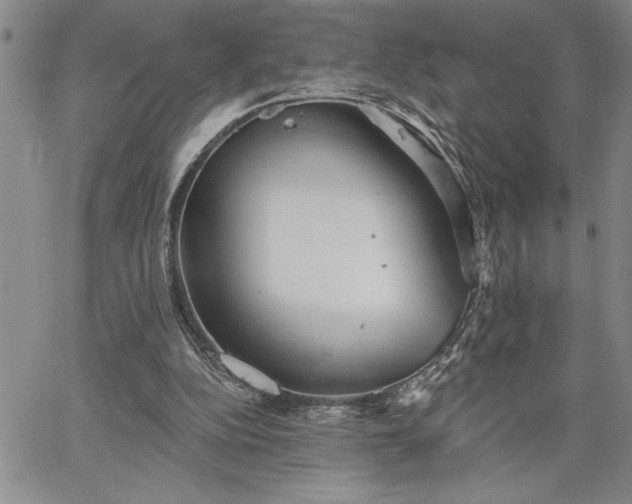 X0000064720152200602171625